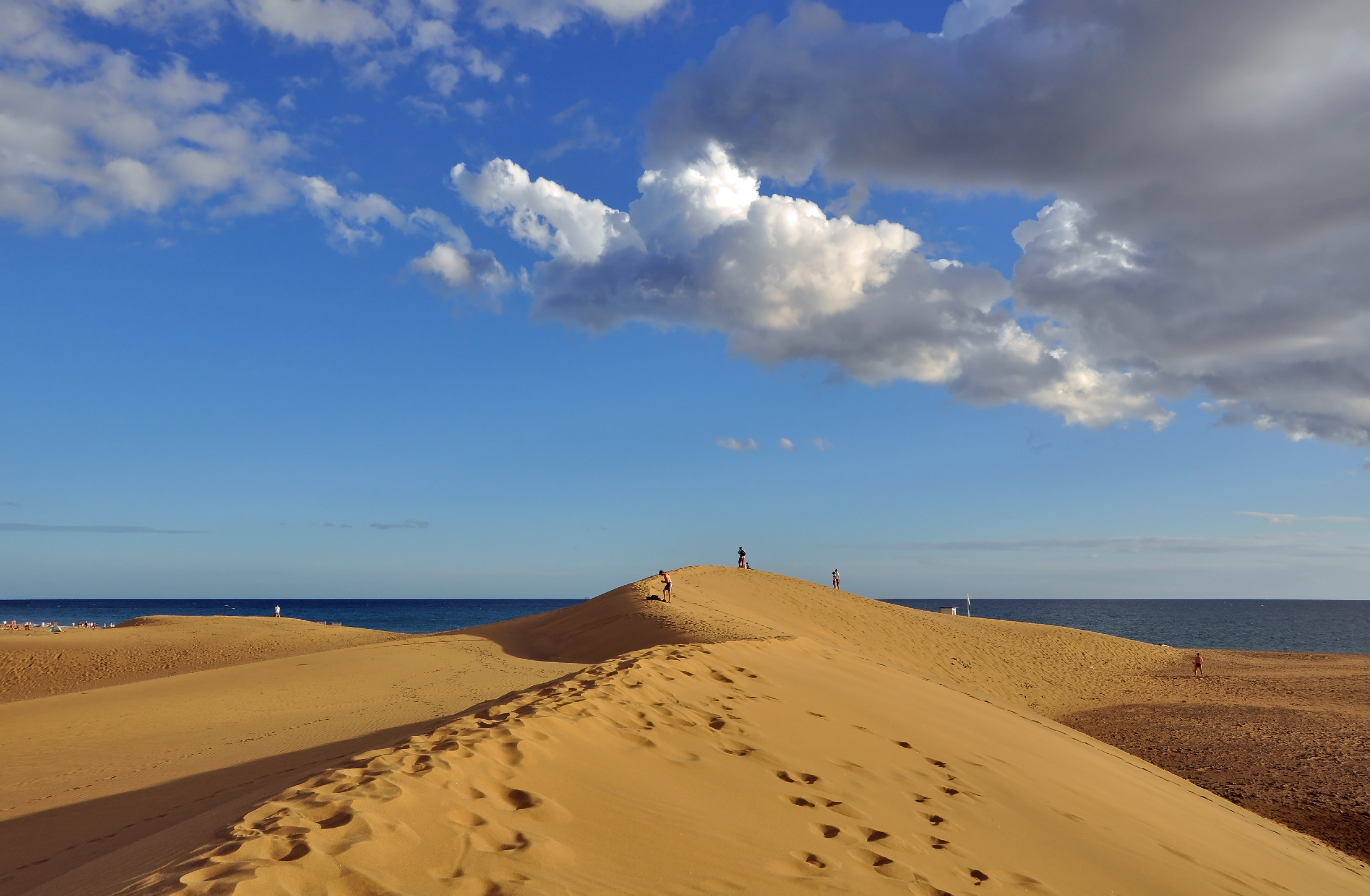 Maspalomas, paseo en camello por sus dunas